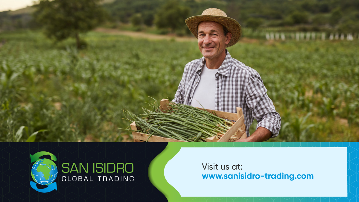 sanisidroglobal's tweet image. Maintaining High-Quality Goods Is a Must

Providing goods, especially fresh produce, can have its share of challenges. This is why we partner with the best farmers, suppliers, and shippers...

Read more:
facebook.com/permalink.php?…

#HighQualityGoods #SanIsidroGlobalTrading