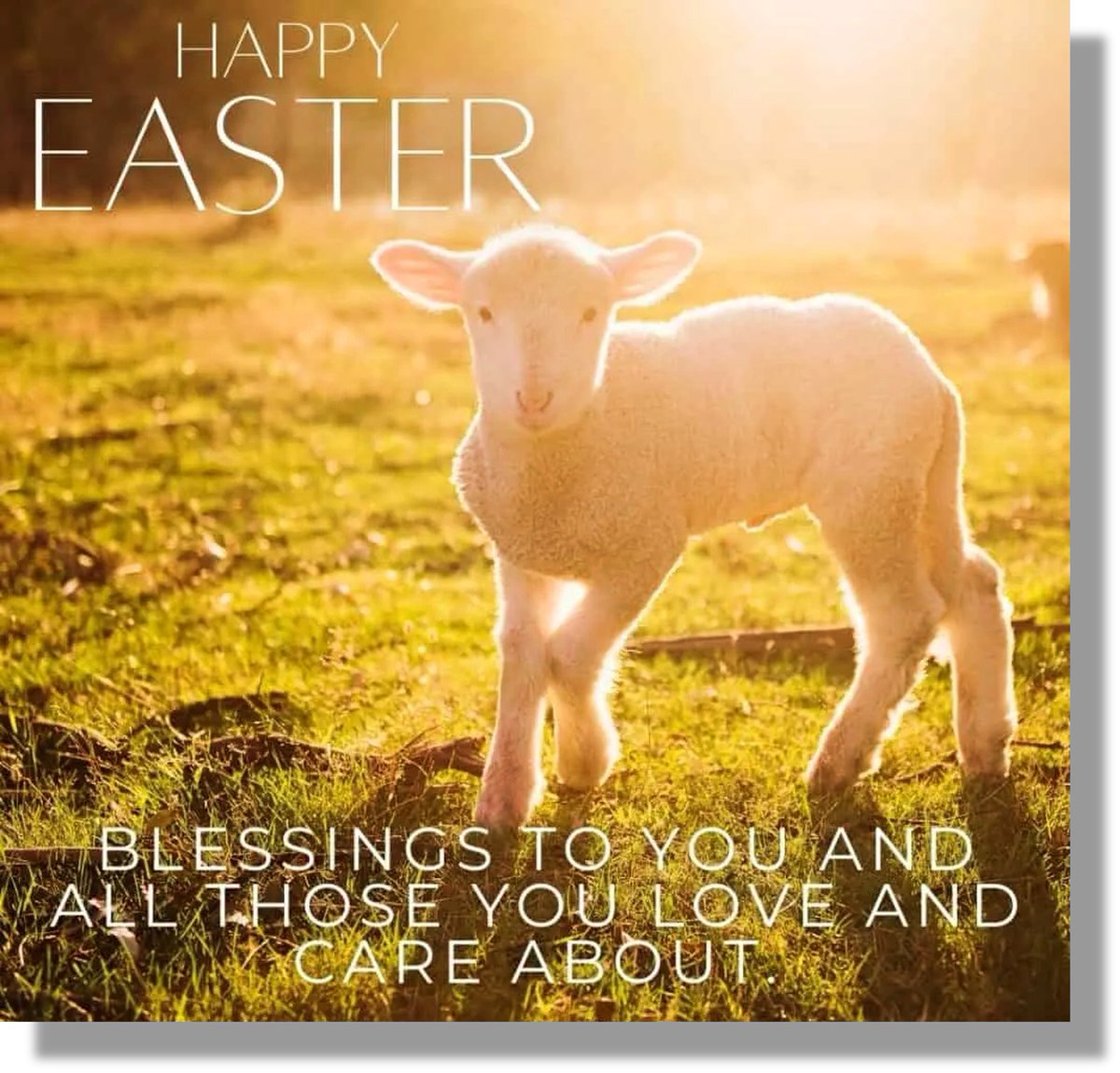 The team at Menadue wish you a Blessed Easter.👑✝️