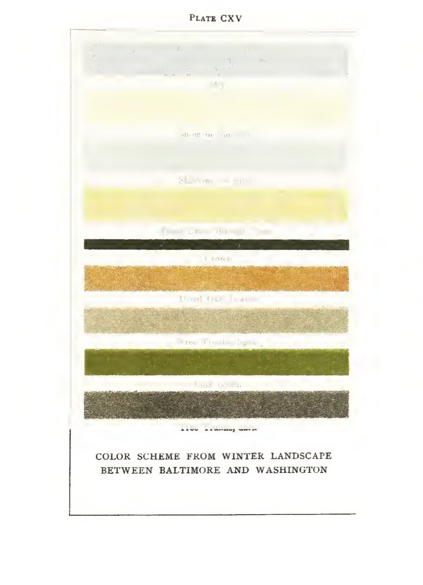 Clara Dealberto tweet media