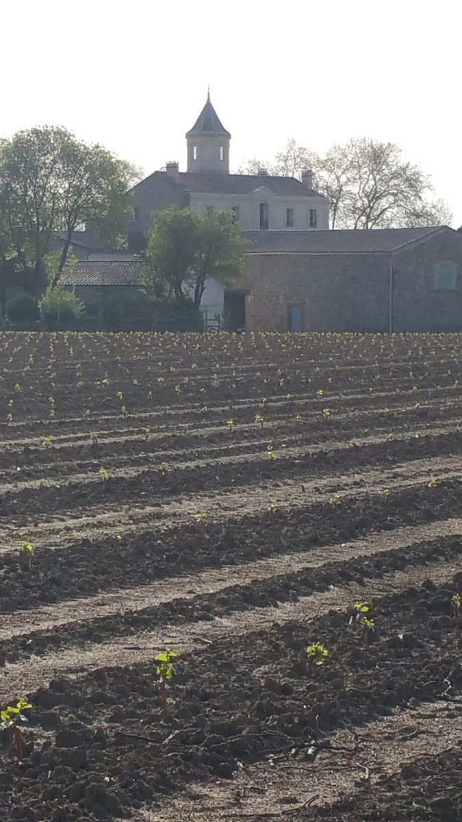 Ruth Simpson tweet media