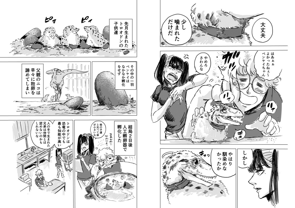 これは前作の連載が終わり、バンチでディノサンが始まる2年ほど前に他誌で描いていたネームです。この頃には既に世界観はほぼ出来上がっていて、海堂のポジションにはすずめという先輩がいて、ベンケイの話は2話目の予定でした。(トロオドンなのに顔がドロマエオサウルス類になってしまってますね)