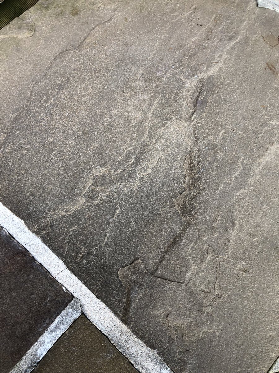 Tim_Steintec tweet media