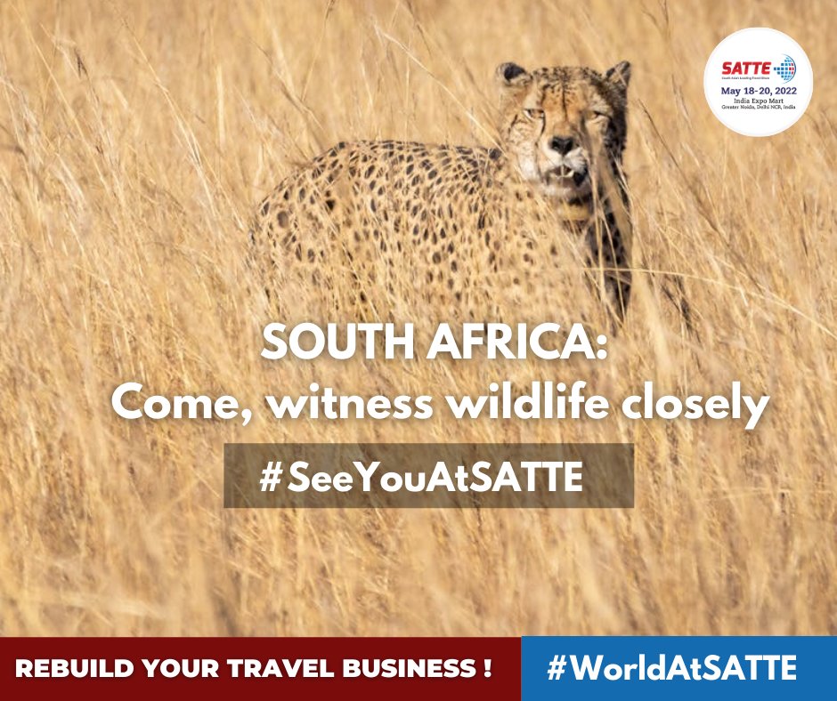 SATTE_India's tweet photo. SATTE is proud to be associated with "South Africa- Come, witness wildlife closely".
29th edition of SATTE held at India Expo Mart, Greater Noida, from 18th- 20th May 2022.#SeeYouAtSatte #WorldatSatte #InformaAllSecure #YourSafetyOurPriority #Travel #Tourism #travelexpo https://t.co/TXV1fA2Dlq