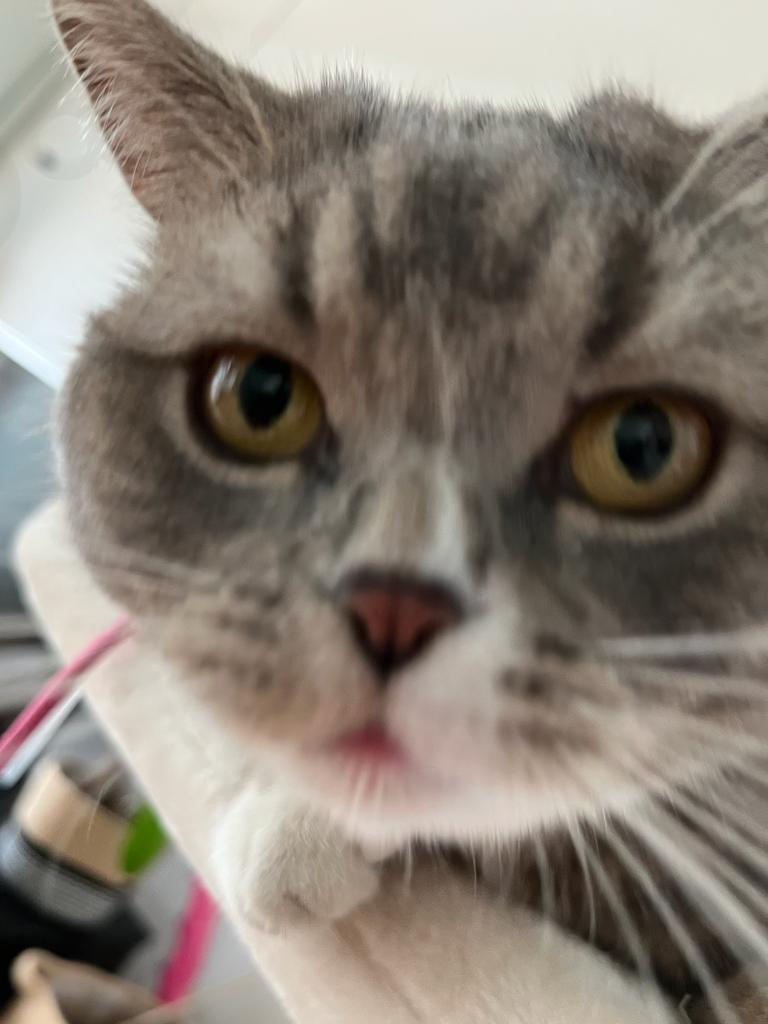 Hast du Spiele auf deinem Handy? 👉👈