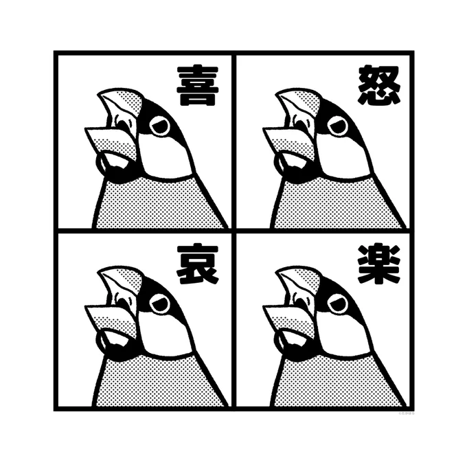 うちの文鳥の喜怒哀楽 
