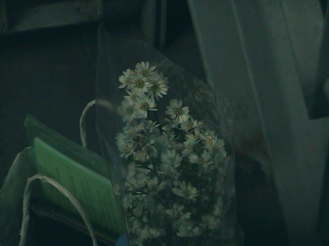 memorableoldday's tweet photo. 💐 https://t.co/92kKk1Sf8C