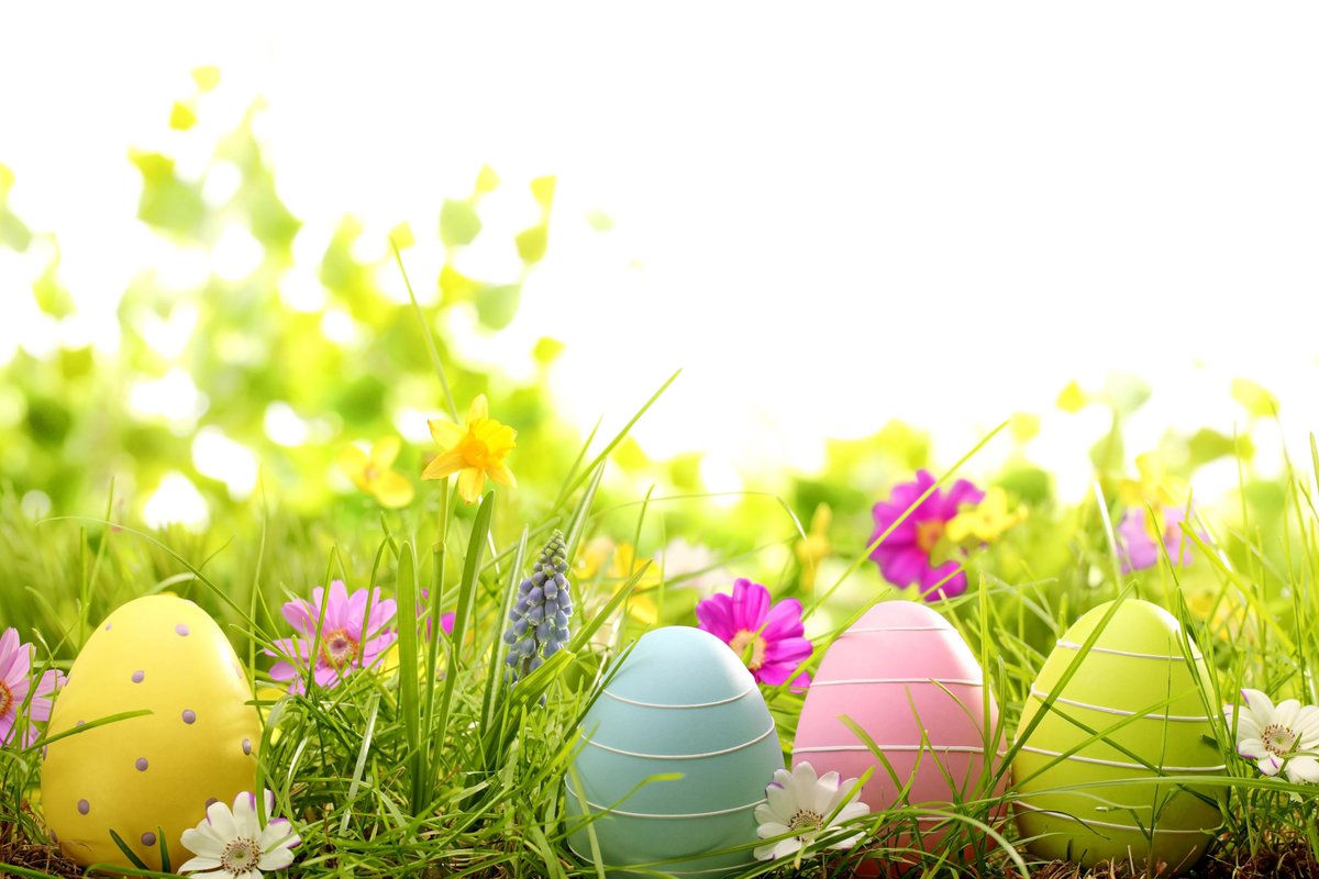 More #Spring songs with Cheryl today in preparation for #Easter 

<a href="/GoldiesLive/">Goldies Sing & Smile</a> continues every Tuesday &amp; Thursday at 11am, Sing &amp; Smile with Rachel &amp; Cheryl from the comfort of your own home.

11am today with Cheryl - goldieslive.com

<a href="/goldiescymru/">Goldies Cymru</a> <a href="/GoldiesCharity/">Golden-Oldies</a>
