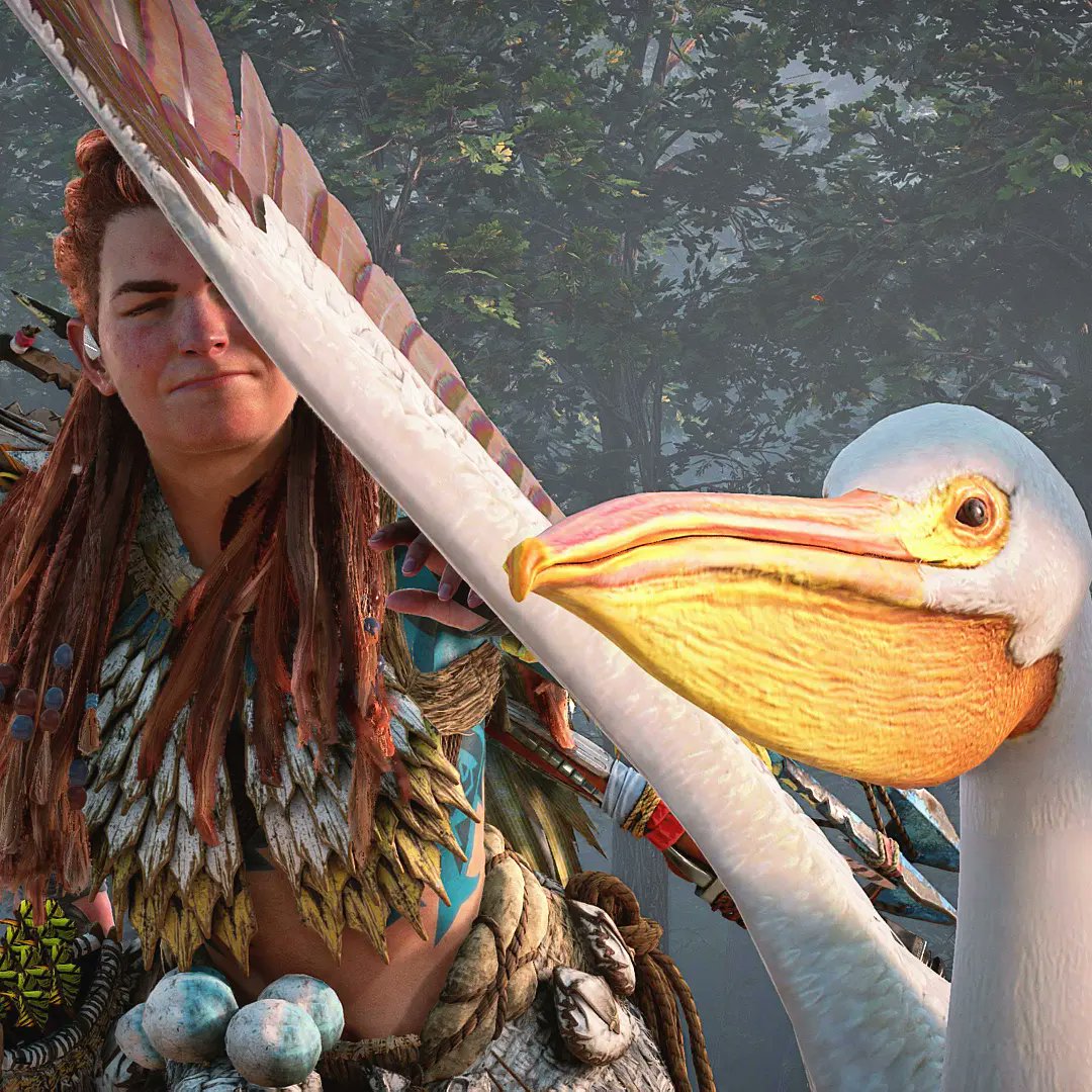 Dude, seriously... 🤕

#Pelican #RudeBirds #SpatialAwareness #Aloy #HorizonForbiddenWest #BeyondTheHorizon #VirtualPhotography #PS5 #PlayStation #PhotoMode #PS5Share