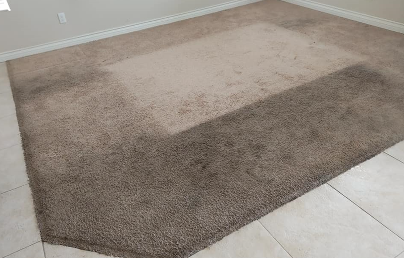 Back2NewCleanin's tweet photo. Hire the #CarpetCleaningBrisbane team if your #carpets need professional care and maintenance. We provide top-class #carpetcleaningservice in #Brisbane.
Visit here for further details: https://t.co/8rrVo8oGG3 https://t.co/8sAh9CM6OQ