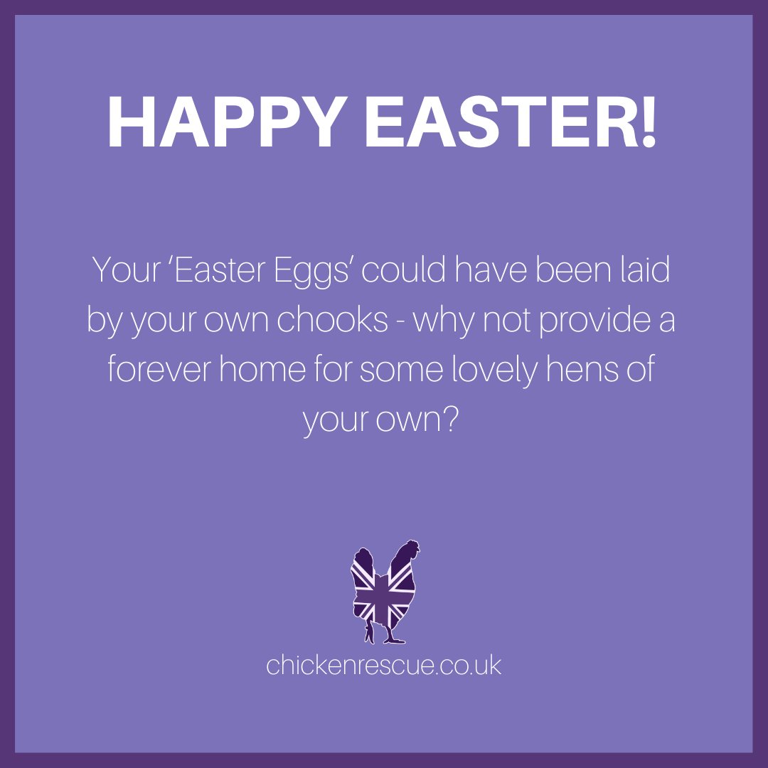Happy Easter! Why not rehome some hens &amp; have your own 'Easter eggs'? Share photos of home-produced eggs this Weekend and tag us to help raise awareness for rehoming retired hens #chickenrescueuk #chickenrescue #rehomingchickens #rescuechickens #eastereggs #fresheggs #easter