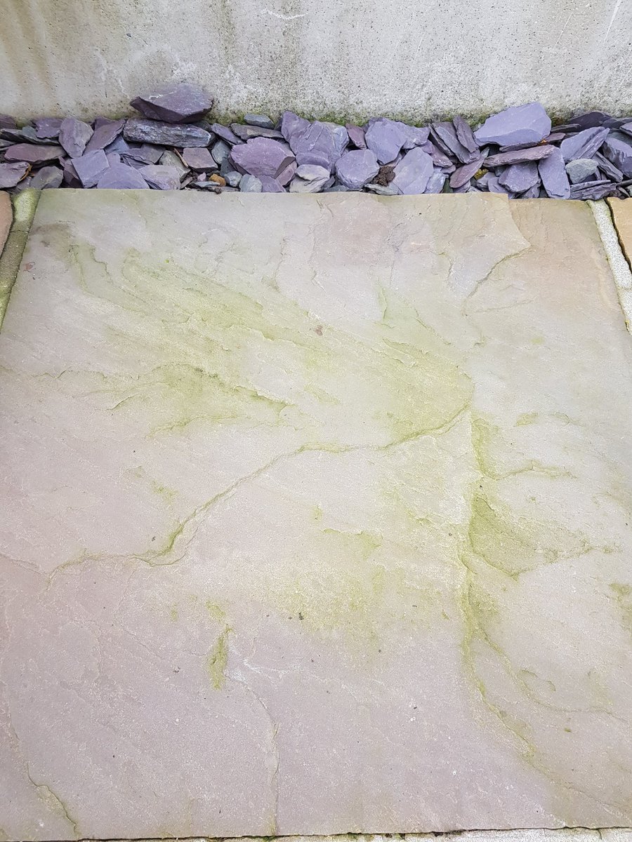 Tim_Steintec tweet media