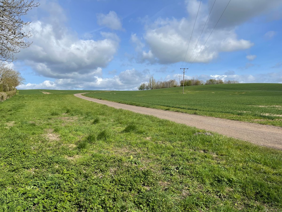 On 23 April, our Lodders' trainee solicitors will run the Wolf Run in support of the Ukraine Crisis. The trainees felt as a group they need to respond to the atrocities taking place in Ukraine and raise as much as they can.

justgiving.com/team/teamlodde…