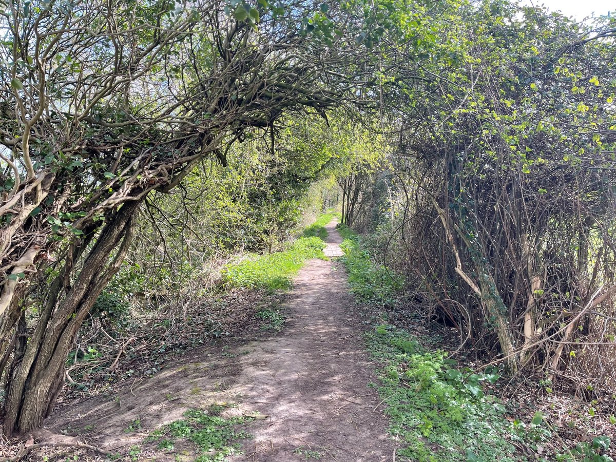 Lodders Solicitors tweet media