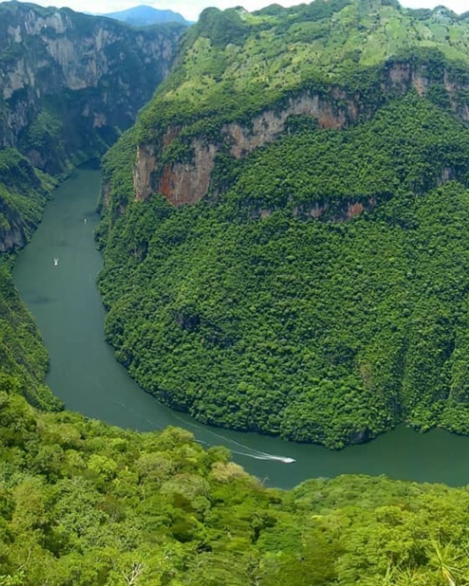 lucesmexicanas's tweet photo. Una de las actividades más populares para realizar en Chiapas, visitar el Cañón del Sumidero es una experiencia imperdible. #chiapasmagico #sumidero #chiapas #mexico #palenque #green #traveling #quez #xalapaenr #earth https://t.co/LqjrfQoc9S