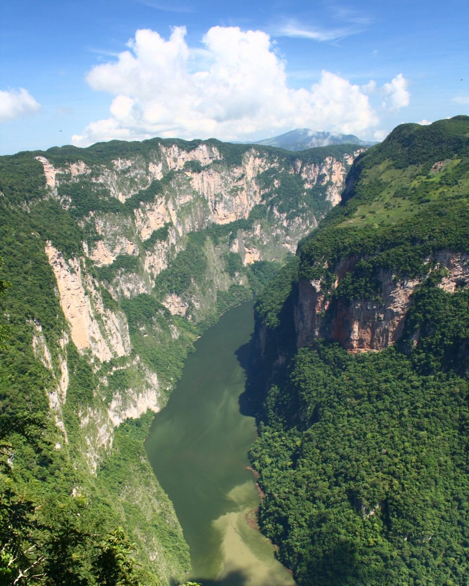 lucesmexicanas's tweet photo. Una de las actividades más populares para realizar en Chiapas, visitar el Cañón del Sumidero es una experiencia imperdible. #chiapasmagico #sumidero #chiapas #mexico #palenque #green #traveling #quez #xalapaenr #earth https://t.co/LqjrfQoc9S