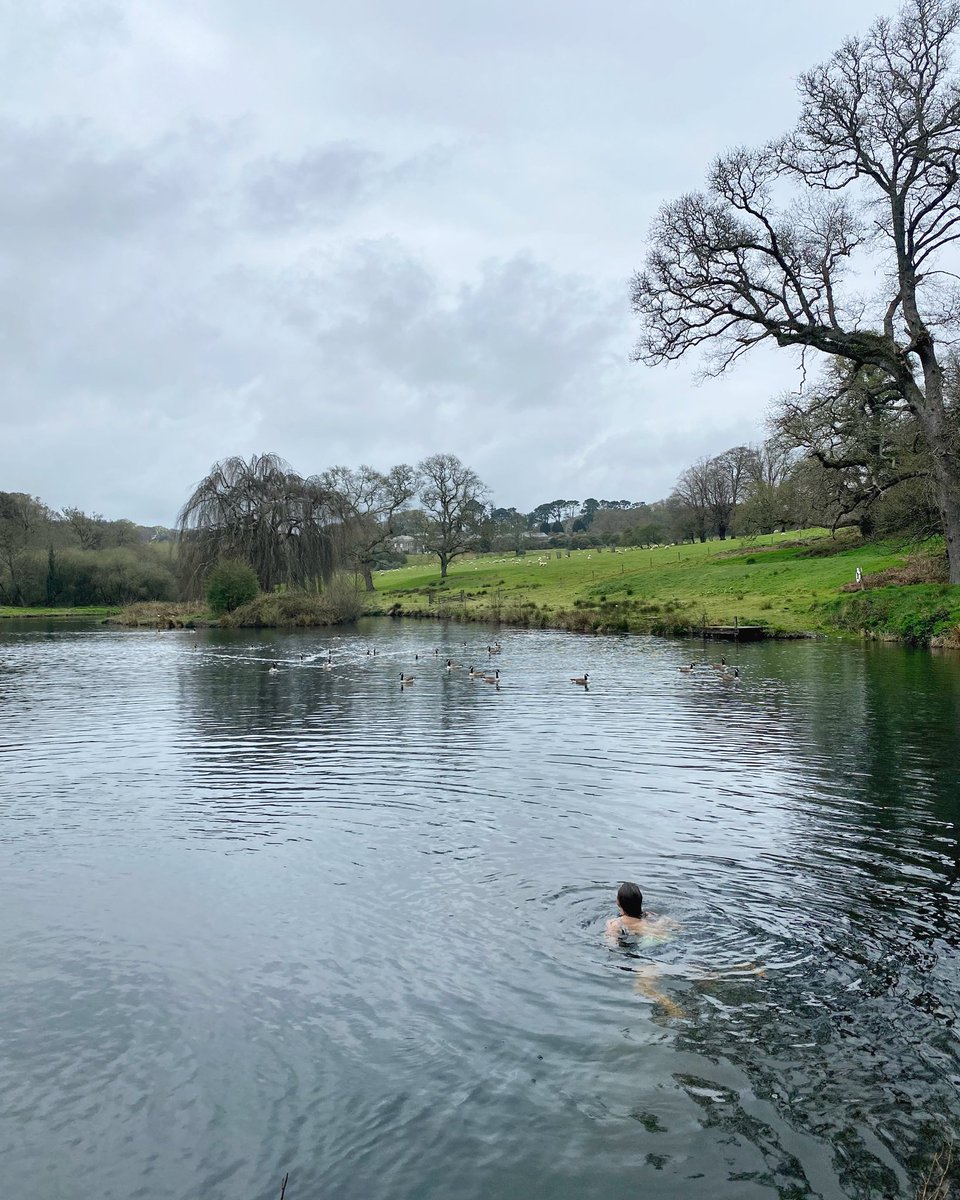 Boconnoc (@boconnocestate) on Twitter photo Is there anything better than a refreshing cold water dip? Take advantage of a swim in our lake during your stay 🌿🏊🏻♀️ Is there anything better than a refreshing cold water dip? Take advantage of a swim in our lake during your stay 🌿🏊🏻♀️