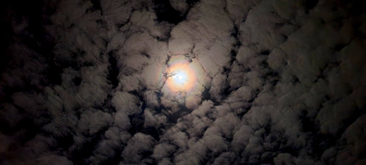 andyjump1118's tweet photo. Took these #moonandcloud #photos before going to sleep 😴. #wxtwitter #wxspotter #moonhalo #cloudsandmoon @NWSHanford @StormHour @StormHourMark @MoonHour321 https://t.co/GHkbOswBl4