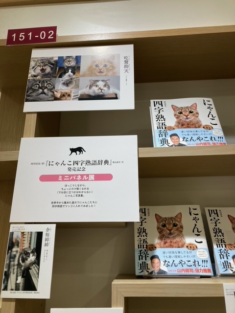 三省堂書店池袋本店 飛鳥新社 西川清史 さん著 かまいたち山内さん Yamauchi0117 推薦 にゃんこ四字熟語辞典 書籍館1階 にて展開中 役に立つかはわからないけれどちょっとだけ賢くなれます とにかくかわいい プレゼントにもおすすめです