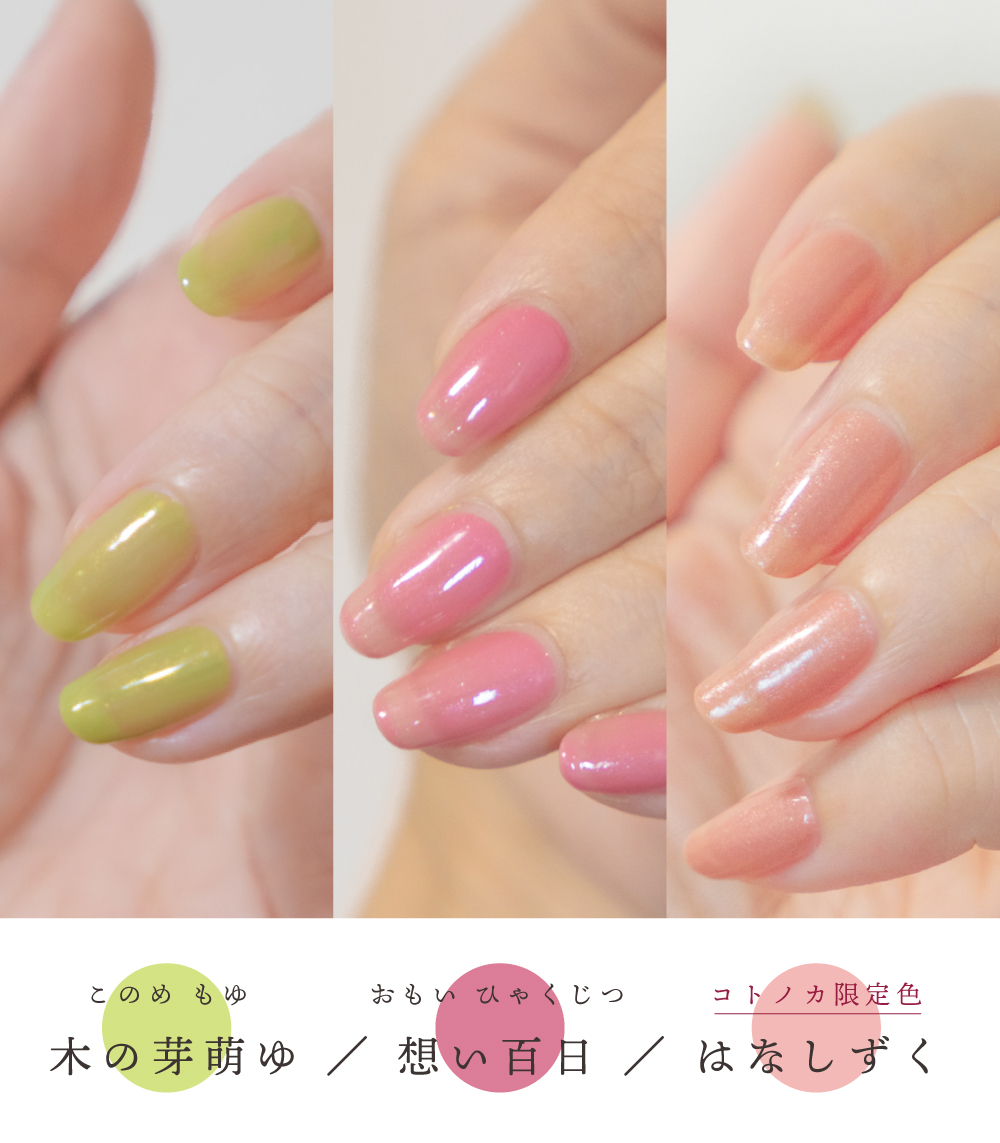 コトノカ×kyo・miori／ ＼限定色発売記念合同企画／ 四季彩まとい