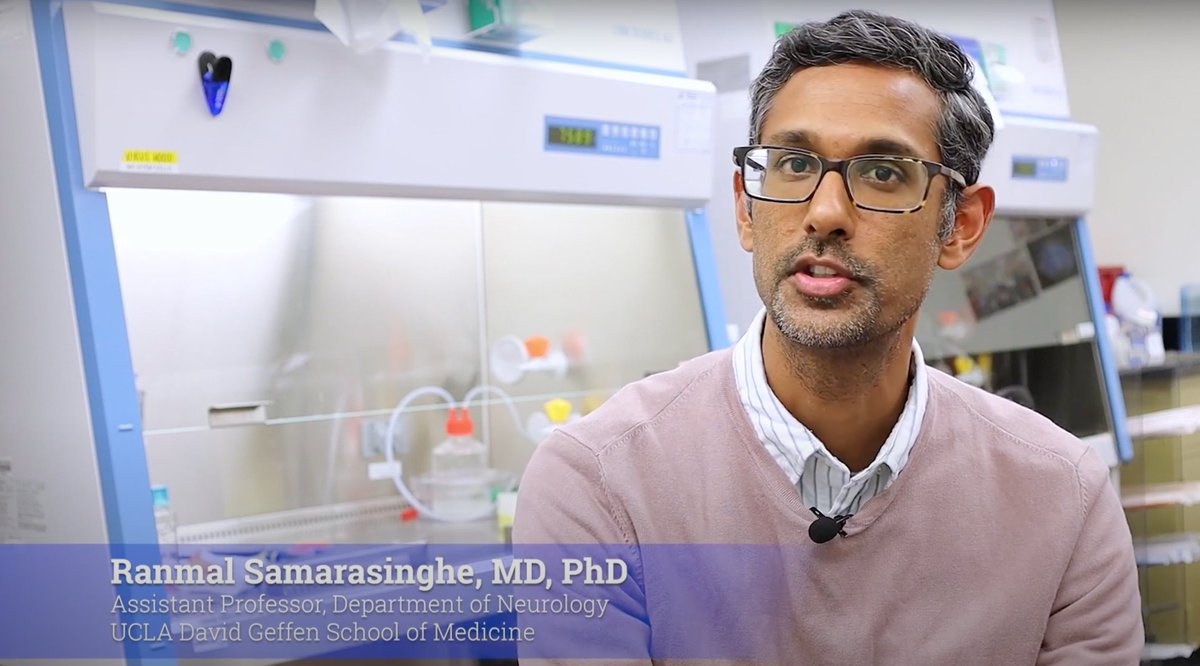 The latest video in our Lab Profile Series features Dr. Ranmal Samarasinghe!

Dr. Samarasinghe is working to understand and cure #epilepsy and other neurological conditions by using cutting-edge #research methods, such as developing #brain organoids.

uclahealth.org/neurology/sama…