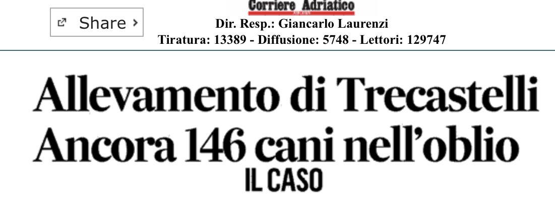 glfelicetti's tweet photo. Ci senti @RegioneMarcheIT? Ci sono ancora 146 cani da salvare definitivamente dopo lo scoppio di una crisi sanitaria (brucella canina non una mal di gola) in un allevamento di cani evidentemente non controllato a dovere. Cosa aspettate @AcquaroliF e @FILIPPOSALTAMAR ? https://t.co/R1Rhxwclg1