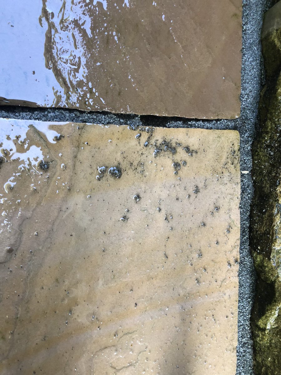 Tim_Steintec tweet media