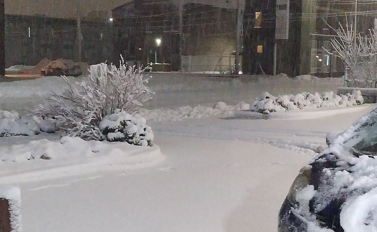 Amy Hadley tweet media