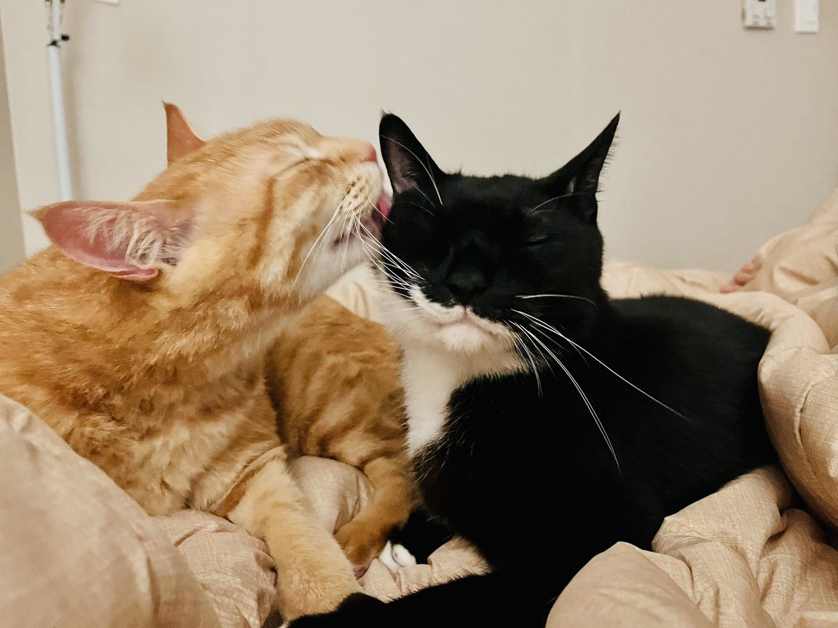 늘어난 임자의 볼살이 좋아