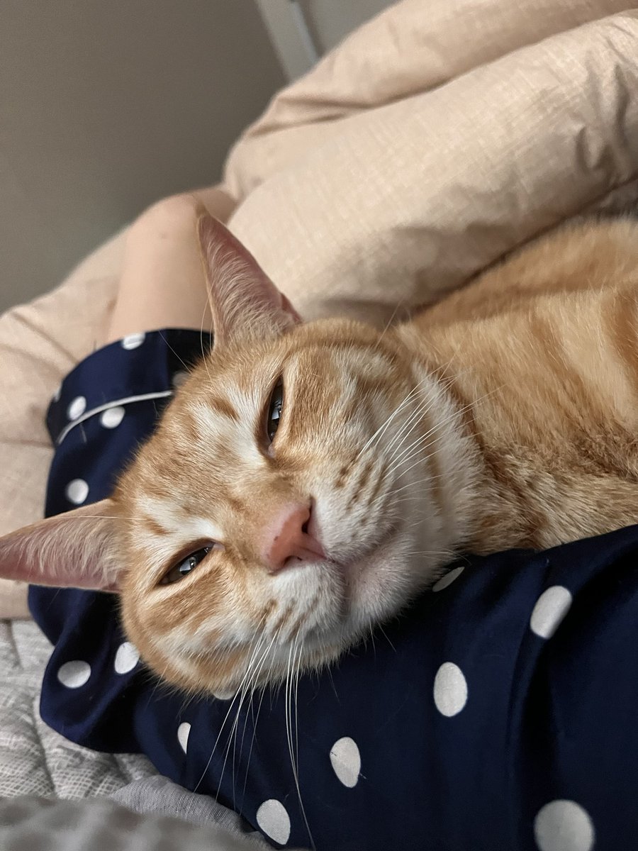 인간바디필로우가 어떠신지요