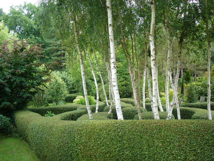 LevequeGeorges's tweet photo. Le nouveau site internet du #JardinDAtmosphère du #PetitBordeaux #Sarthe de Sylvie & #MichelBerrou : https://t.co/xnFRhHbmQy a fait #peauneuve pendant l'#hiver. C'est un #régal du #printemps à l'#automne. Contact 02 43 42 15 30 https://t.co/1DfvlB2T6q