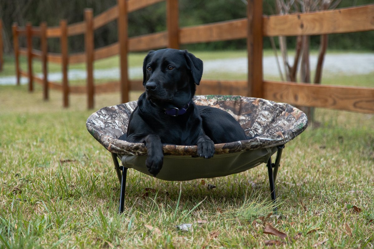 Realtree's tweet photo. Perfect for any hunting buddy!  

Link to shop: https://t.co/oiavdjBMGs

#Realtree https://t.co/qKREEfcunc