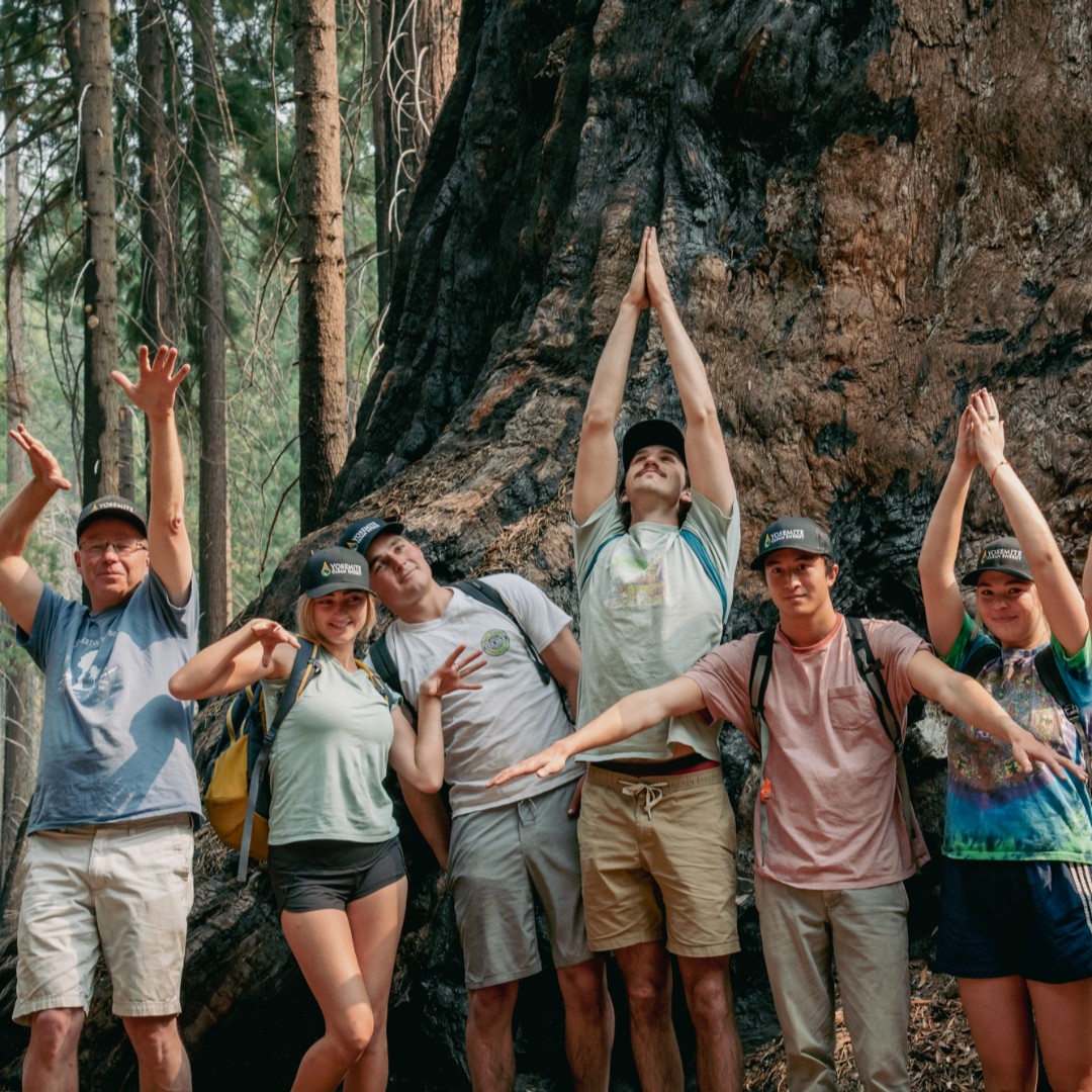 YosemiteClean's tweet photo. 3...2...1...Pretend to be a tree! 😆 🌲 https://t.co/kRIgFygujU