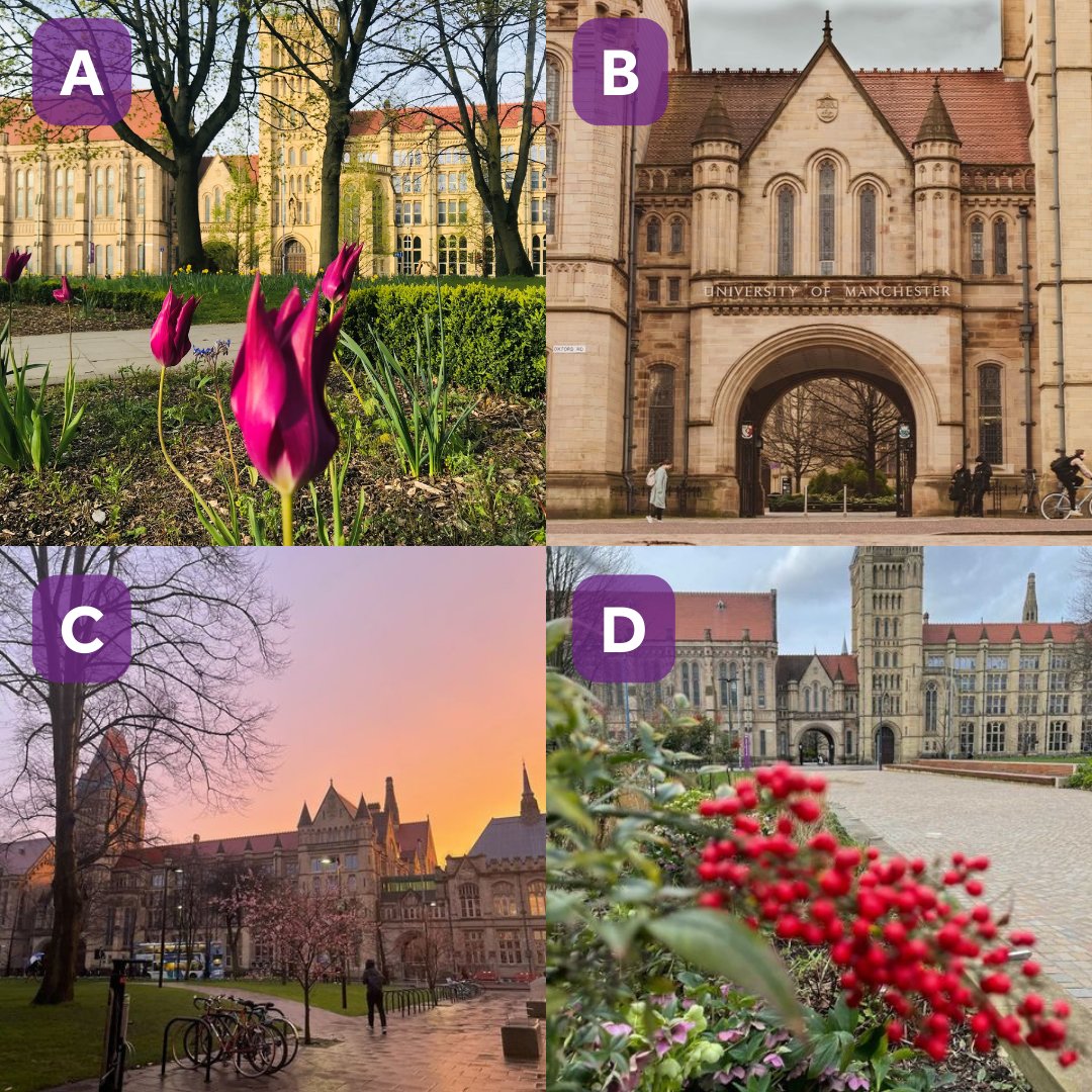 The University of Manchester tweet media