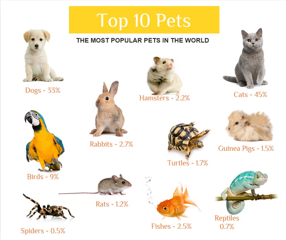 DowntwnGreenway's tweet photo. April is Pets Are Wonderful Month!
Tell us how you love your fur &amp; non-fur babies...
🐶🐈🐀🐹🐰🦔🐇🐊🐢 
#mustlovepets #petsarebest https://t.co/7McwSJeAab