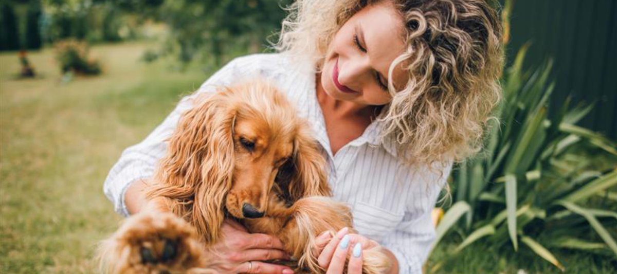 All dogs are different, and the shampoo they use should be different too! 

If you are looking to find the perfect grooming products for your pooch but don't know where to start, you NEED to read this guide from <a href="/tropiclean/">TropiClean Pet</a>!

dog-fest.co.uk/news/detail/ho…