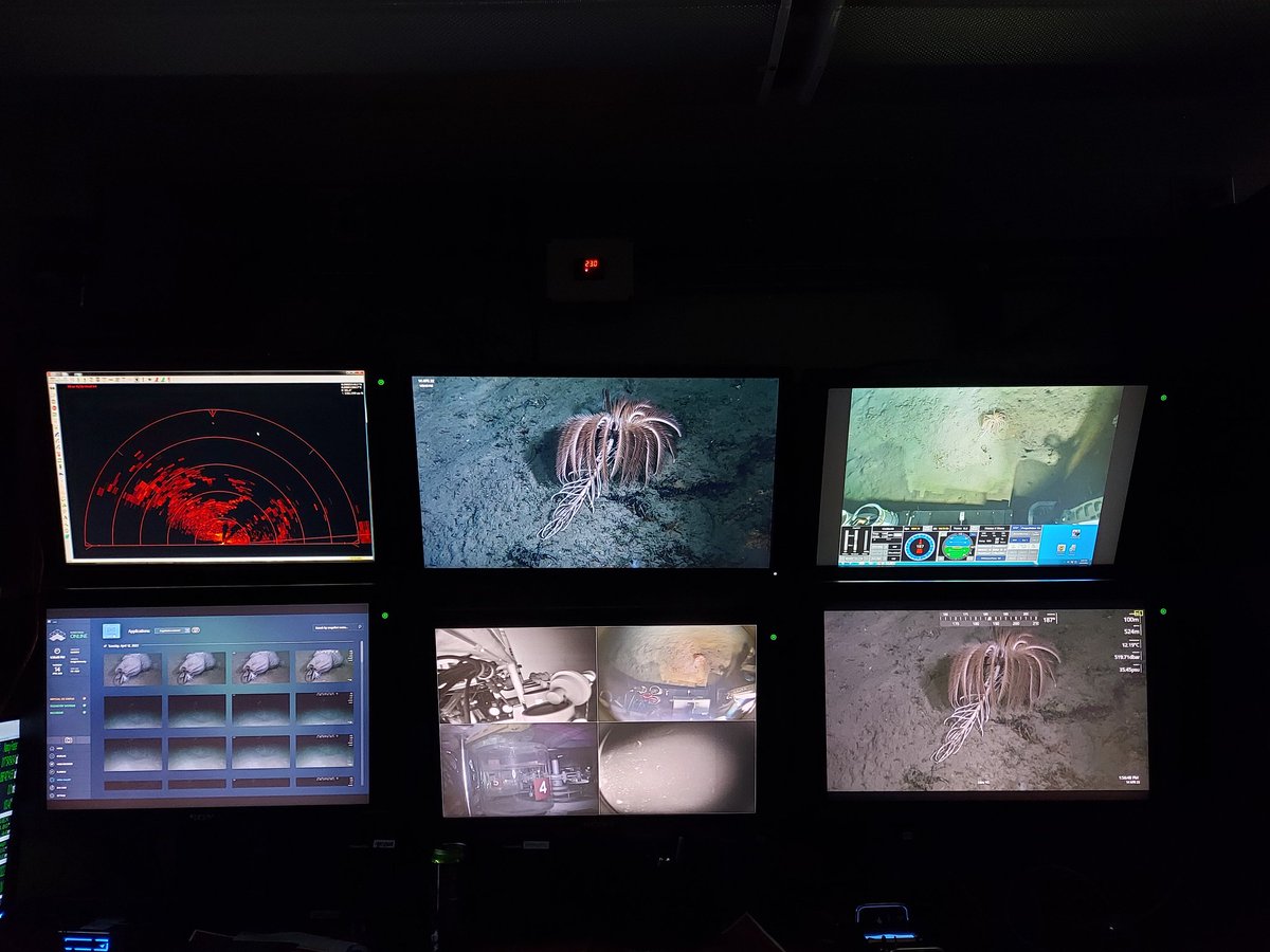 And we are on! #Illuminatingbiodiversity #PuertoRico #deepsea