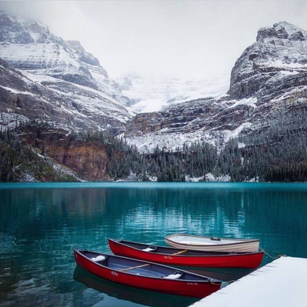 OutdoorEsprit's tweet photo. Wilderness is not a luxury but necessity of the human spirit. – Edward Abbey https://t.co/rvFYLKAUfq