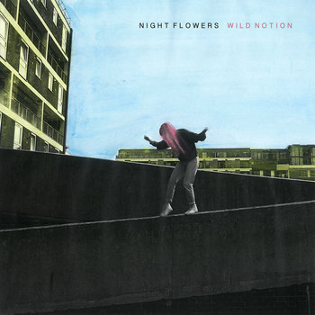 NextToTheAisle's tweet photo. Happy 4th birthday to @Night_Flowers_ WILD NOTION via @DirtyBingo.
A sensational pop debut. Love this record 
https://t.co/HAzgsiBC8c https://t.co/CpKZ5jSfSG