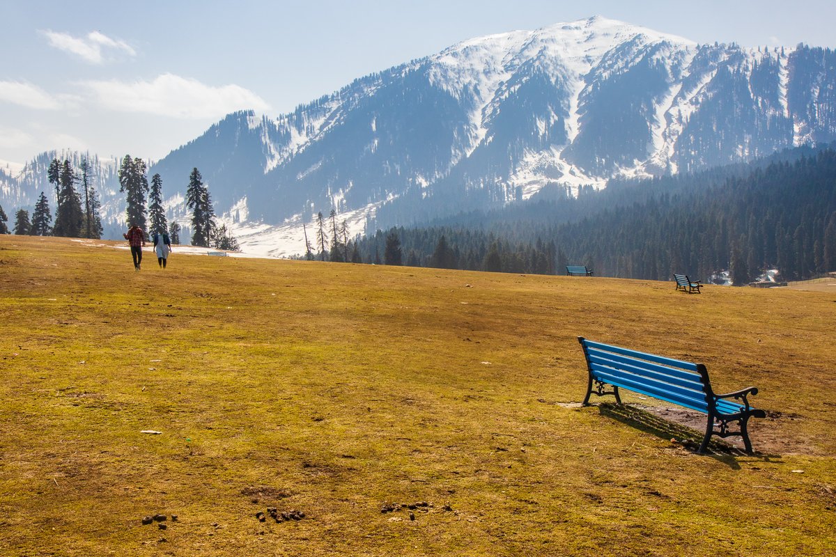 subhadeep_doc's tweet photo. The meadows of Doodhpathri, Kashmir

@JandKTourism @incredibleindia https://t.co/0tW3Opq9Fb