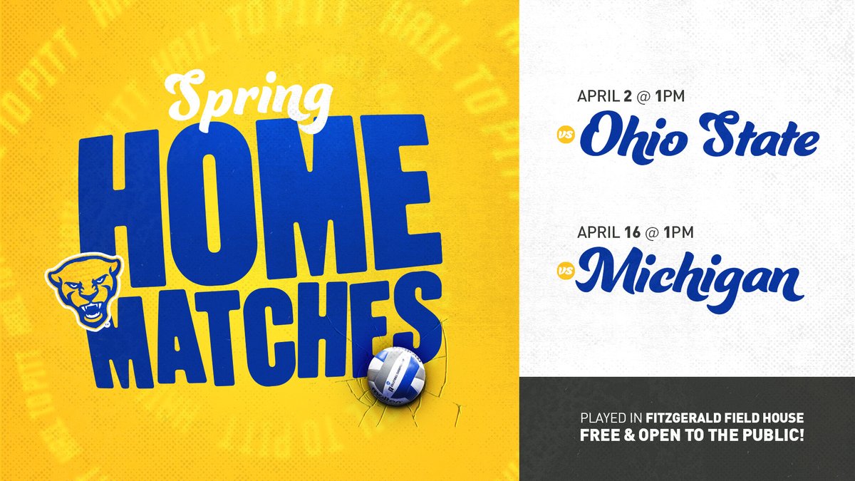 Pitt Volleyball tweet media