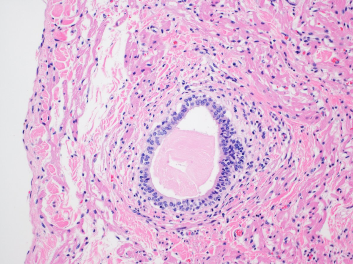 Jeff Goldstein tweet media