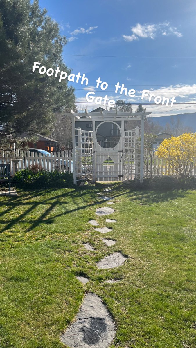 MomentsintheG's tweet image. #myfrontgate #forsythia #momentsinthegardenphotography