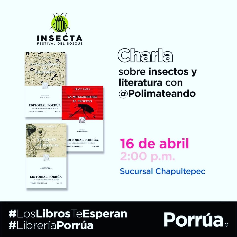 polimateando's tweet photo. ¡Vámonos al #INSECTAFestivalDelBosque !
Los espero en la sede de @libreriaporrua este sábado para platicar de literatura e insectos. #amoloslibros #amolaciencia #lij #polimateando https://t.co/MhqLZp9lqn