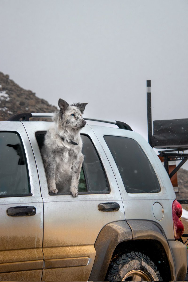 Hi everyone! It's been awhile 😅 I got suspended for a really long time lol. But anyway I recently posted this on Instagram and it completely failed ( not surprising) so I thought I'd share it here as well cause I really like it!