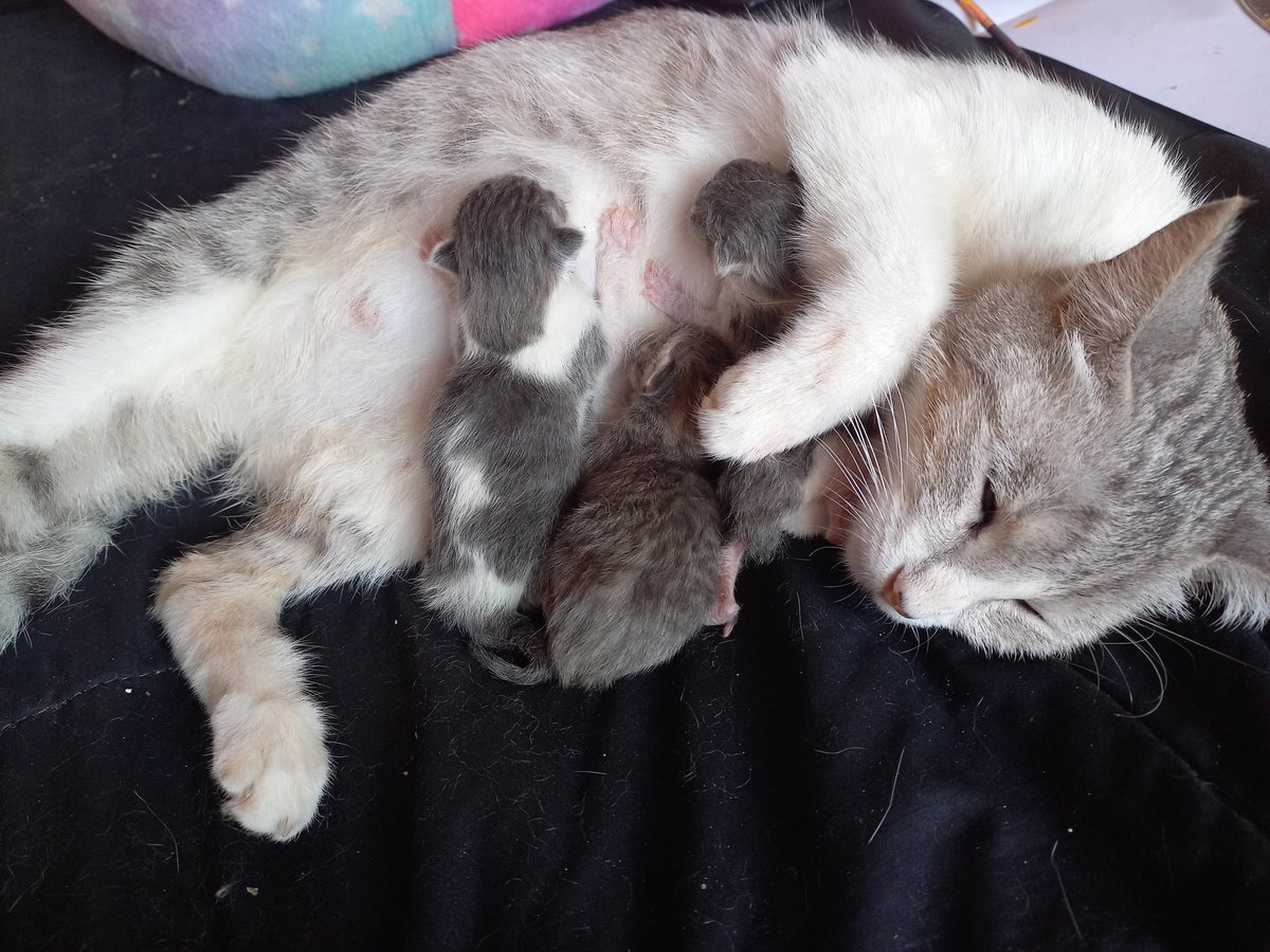 Rivergaaa💔 tweet media