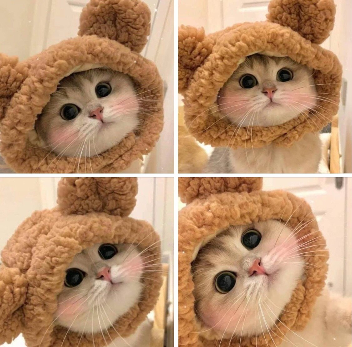 So Cute