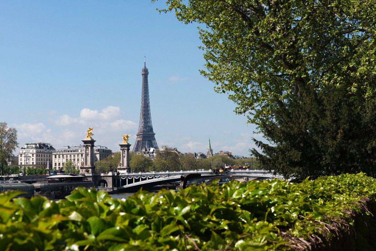 Here & There Series tweet media