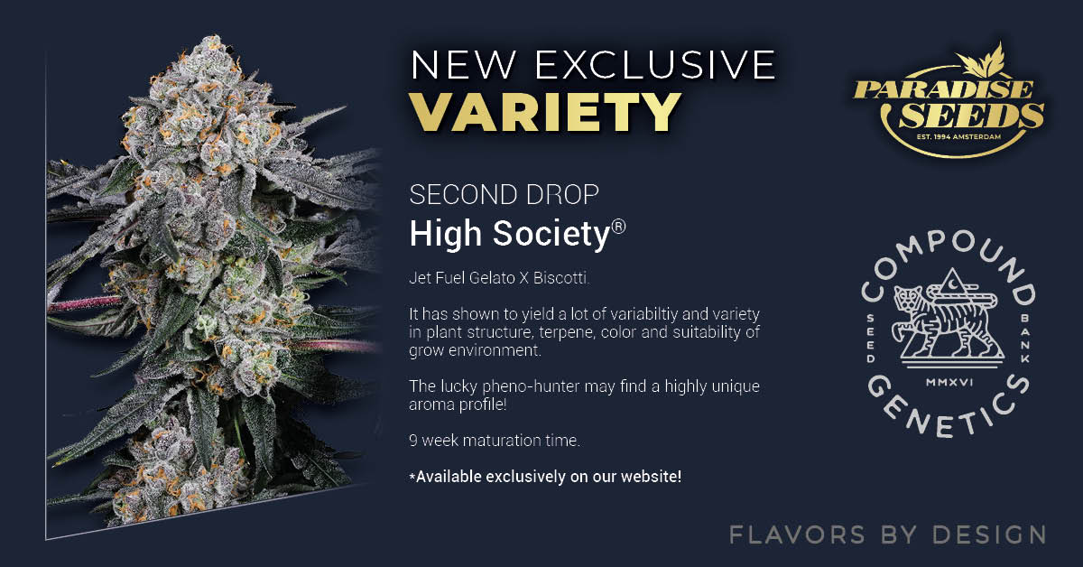 paradiseseeds's tweet photo. Itβs our second strain drop of the month from Compound Genetics! High Society for those who appreciate the finer things in life! Compound unleash the flavors of Biscotti x Jet Fuel Gelato in this sensational indica leaning hybrid.
#flavorsbydesign https://t.co/hvBdS1r7GJ