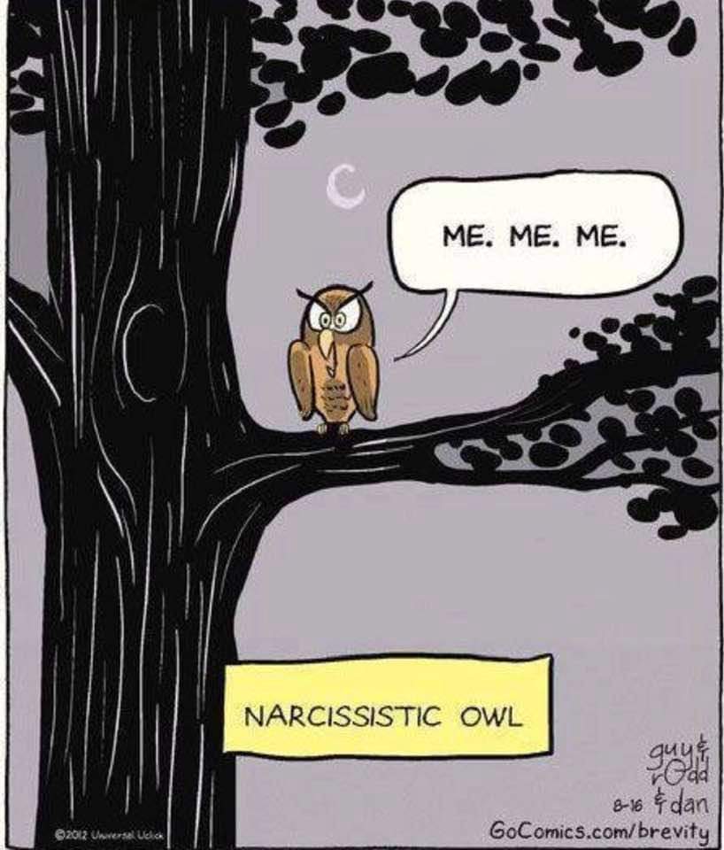 @Steve-Oh!! (@abort_abort_) on Twitter photo 