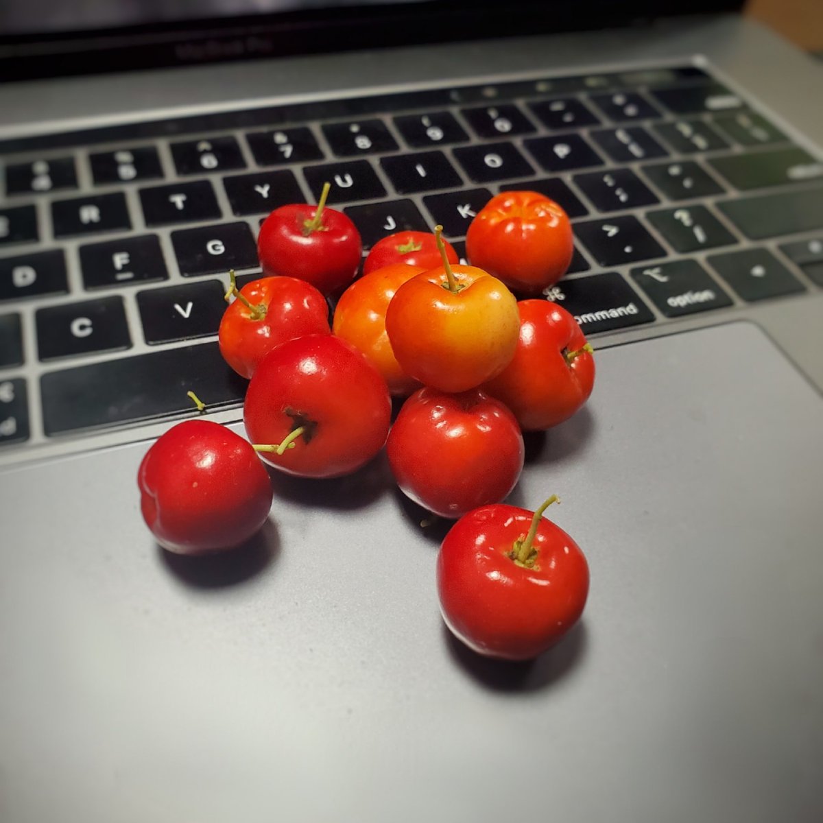 Razor_Digital's tweet image. Life is simple, it&apos;s either 485C or Cherry Red.